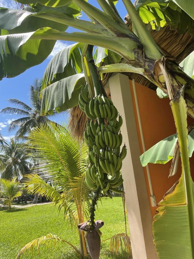 Sambo Mambo Beach Hotel El Cuco Εξωτερικό φωτογραφία